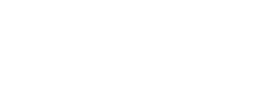 GD Digital